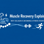 Muscle Recovery Explained