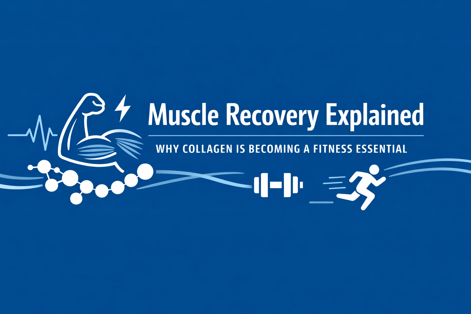 Muscle Recovery Explained